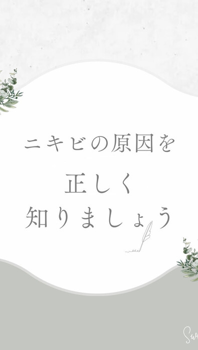 画像239