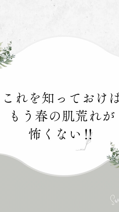 画像248